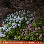Casa Manoli Luarca Almuña