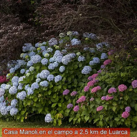 Casa Manoli Luarca Almuña
