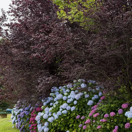 Casa Manoli Luarca Kır Evi